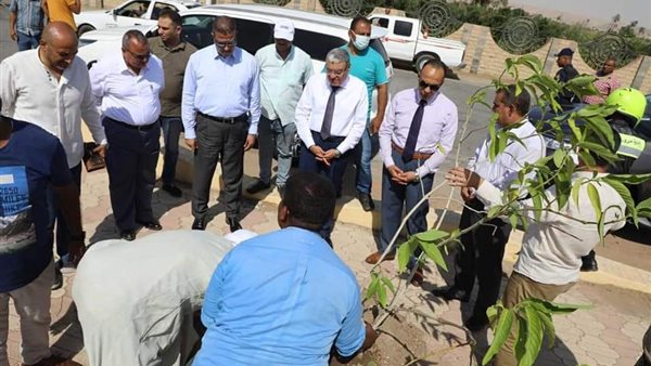 محافظ المنيا