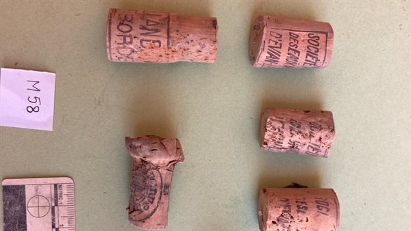 اكتشافات البعثة الأثرية