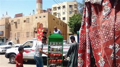 إزالة 16 حالة تعدٍّ ضمن الموجة الـ20 بمساحة 4241 مترًا مربعًا في أسوان