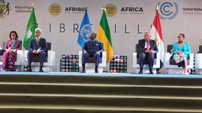 وزير الخارجية يدعو الأطراف الإفريقية لمواصلة جهود تحقيق العدالة المناخية