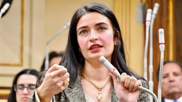 إيرين سعيد عضو لجنة