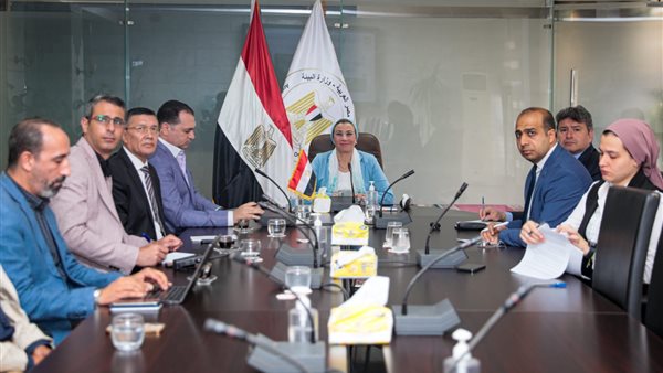 اجتماع مصري إماراتي