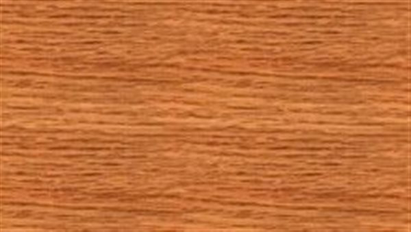  خشب الأرز في مصر