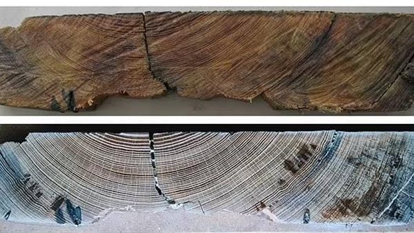 الكشف عن سفينة عمرها