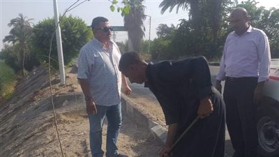 الوحدات المحلية بالمنيا تواصل جهودها في تنفيذ المبادرة الرئاسية لزراعة 100 مليون شجرة