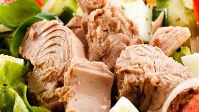 بـ135 مليون دولار.. الإحصاء: ارتفاع واردات مصر من التونة خلال 5 أشهر