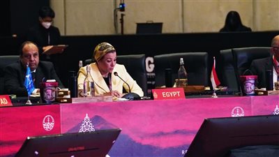 وزيرة البيئة: ندعو مجموعة العشرين لتحديث خططها لخفض الانبعاثات والوفاء بالتزاماتها في تمويل المناخ