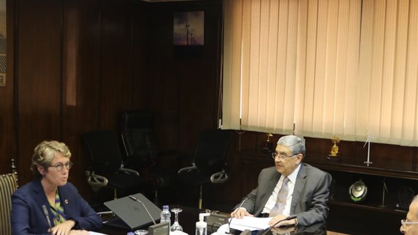 وزير الكهرباء