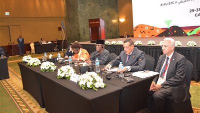 وزير التنمية المحلية: سنعمل على تمثيل إفريقيا بصورة مشرفة في قمة المناخ 