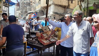 ضبط 241 حالة إشغال وتحرير 32 محضرًا في حملات مكبرة بالإسكندرية