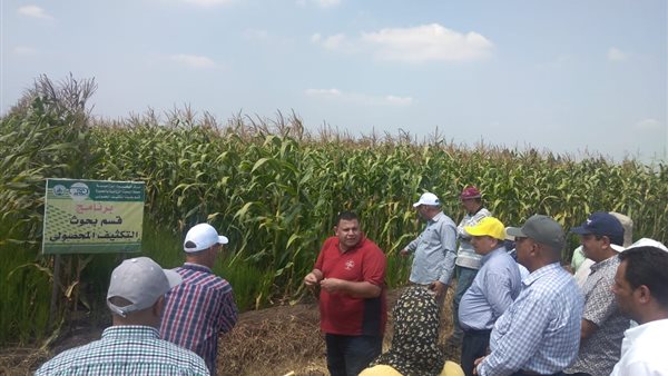 محطة البحوث الزراعية