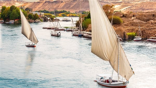 الحملة الترويجية