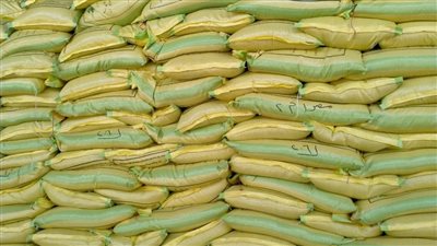 الزراعة: التقاوي الجديدة تزيد إنتاجية الفدان 15%.. ولا نستورد من الخارج 