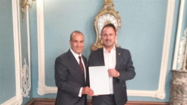 السفير بدر عبد العاطي