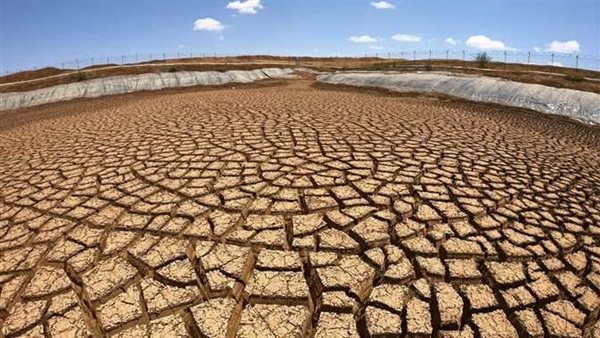 الزراعة في إفريقيا