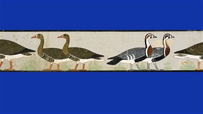 بمناسبة مرور 200 عام على نشأة علم المصريات.. السياحة تروج لـ أوز ميدوم بالمتحف المصري بالتحرير