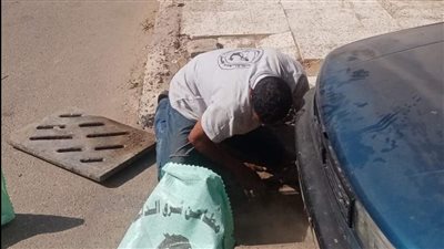 أعمال تطوير ورفع كفاءة لـ منطقة بور فؤاد القديمة | تفاصيل 