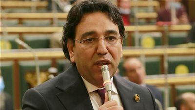 لمواجهة تلوث الهواء.. برلماني يطالب بإعادة إطلاق مبادرة ازرع سطحك 