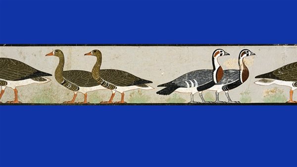 أوز ميدوم بالمتحف