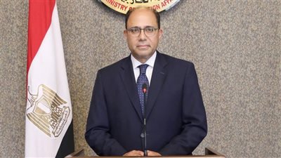 الخارجية: مصر تعمل على حماية المصالح الليبية.. وموقفنا لا يؤثر على علاقتنا بجميع الأطراف