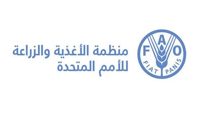 منظمة فاو: تراجع أسعار الغذاء العالمية للشهر الثاني عشر على التوالي