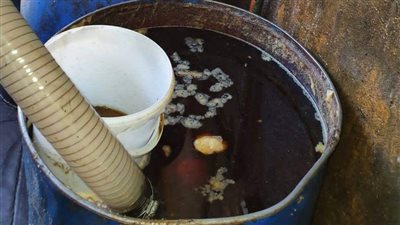 ضبط مصنع لتجميع الزيوت المستخدمة بالمنازل والمطاعم وإعادة بيعها للمواطنين بالطالبية