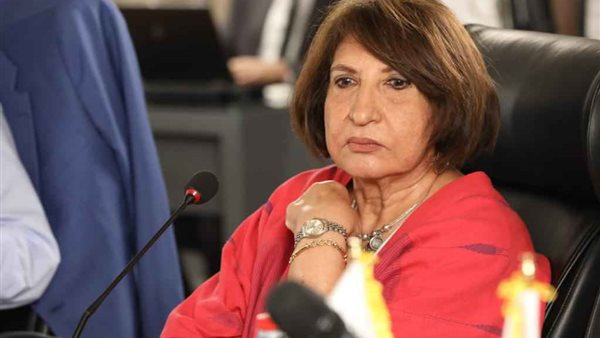  فاطمة خفاجي، عضو