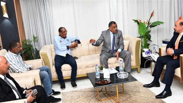 محافظ أسوان