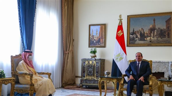 السيسي يستقبل وزير