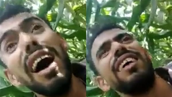 قاتل فتاة المنوفية