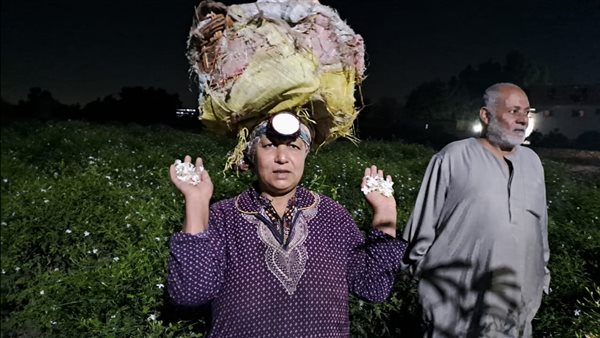 زراعة وحصاد وجمع