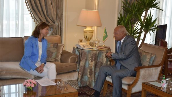 أبو الغيط يستقبل