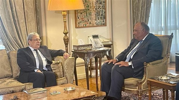 شكري ونظيره التونسي