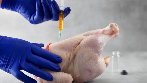 حقن الفراخ بالمياه