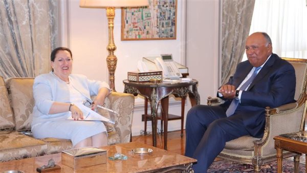 وزير الخارجية سامح