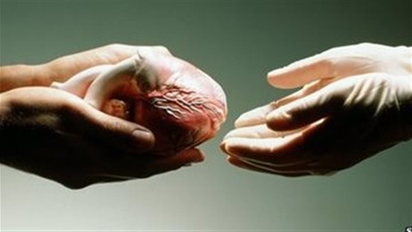 شراء الأعضاء - تعبيرية