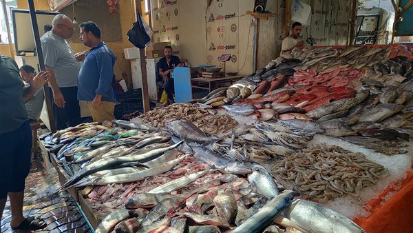 تراجع أسعار الأسماك
