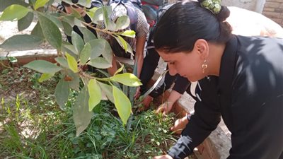 ثقافة الجيزة تشارك في مبادرة 100 مليون شجرة