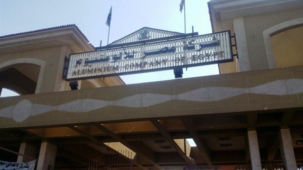  شركة مصر للألومنيوم