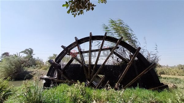 الفيوم.. تصوير إيمان