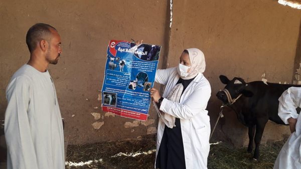 حملة التحصين ضد الحمى