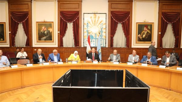 محافظ القاهرة