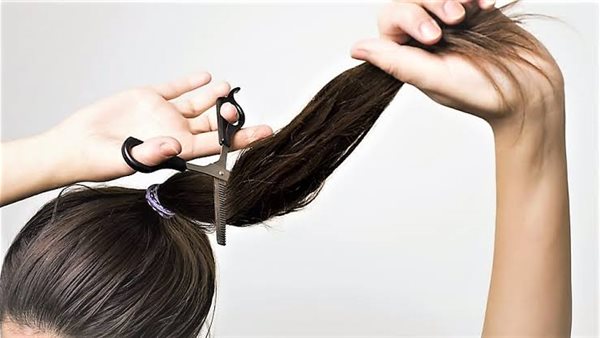 تفسير الاحلام قص