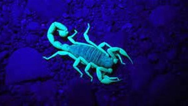 حظك اليوم توقعات