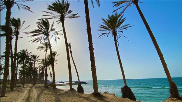 طقس شمال سيناء 