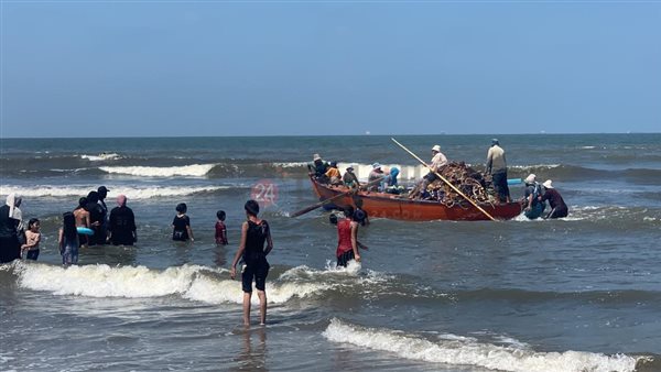 المصطافين ومراكب