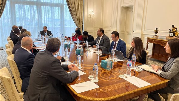 الدكتور محمد معيط