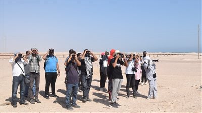 البيئة تنظم برنامج لإعداد الكوادر الوطنية في مجال حماية الطيور المهاجرة