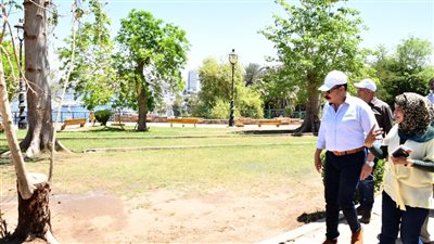 محافظ أسوان: خطة شاملة للتوسع في التشجير وتنظيف نهر النيل مع تطوير الحدائق العامة