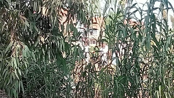 مكان الحادث